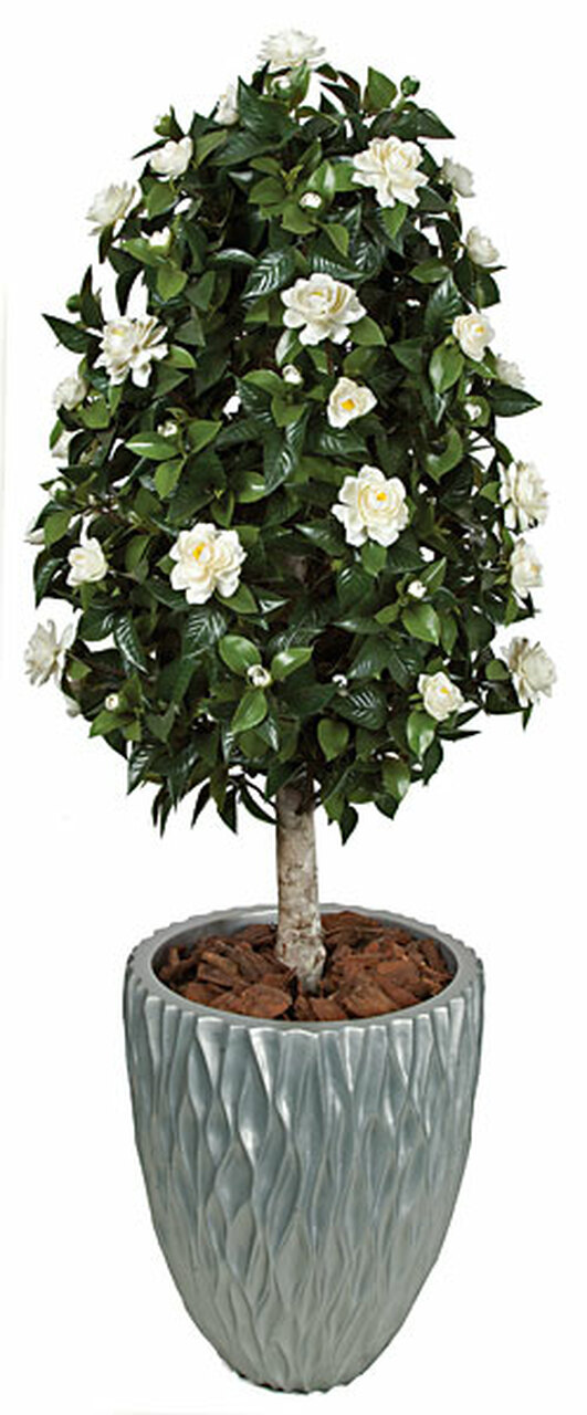 4 and half Foot Polyblend Gardenia Topiary